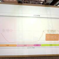 生理時期の気分の波をグラフで表現した展示