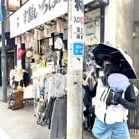 商店街には個性的なお店がたくさん