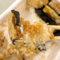ネギだけでごはんが食べられる