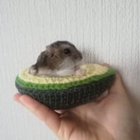 ジャストフィット