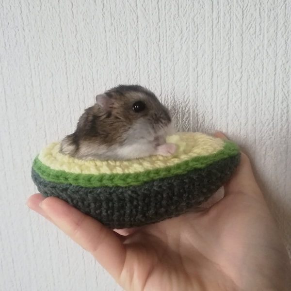 ジャストフィット