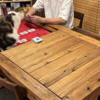 プレイ中の様子