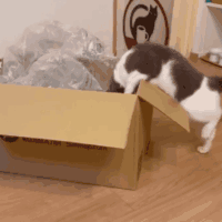 もがくまるくん