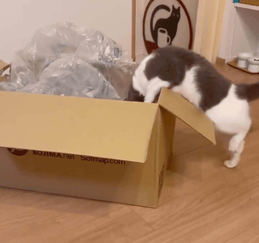 もがくまるくん
