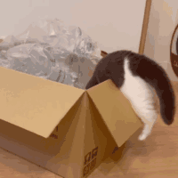 いけたか……と思いきや