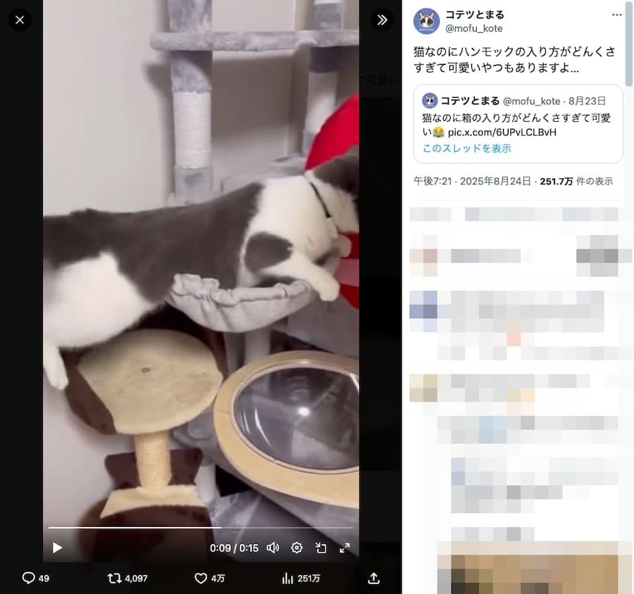 ハンモックにも苦戦