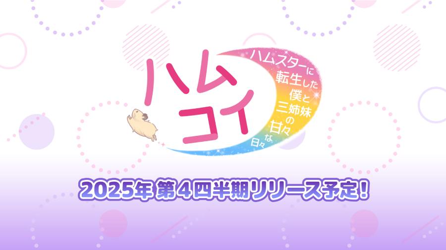 ハムコイは2025年内にリリース予定