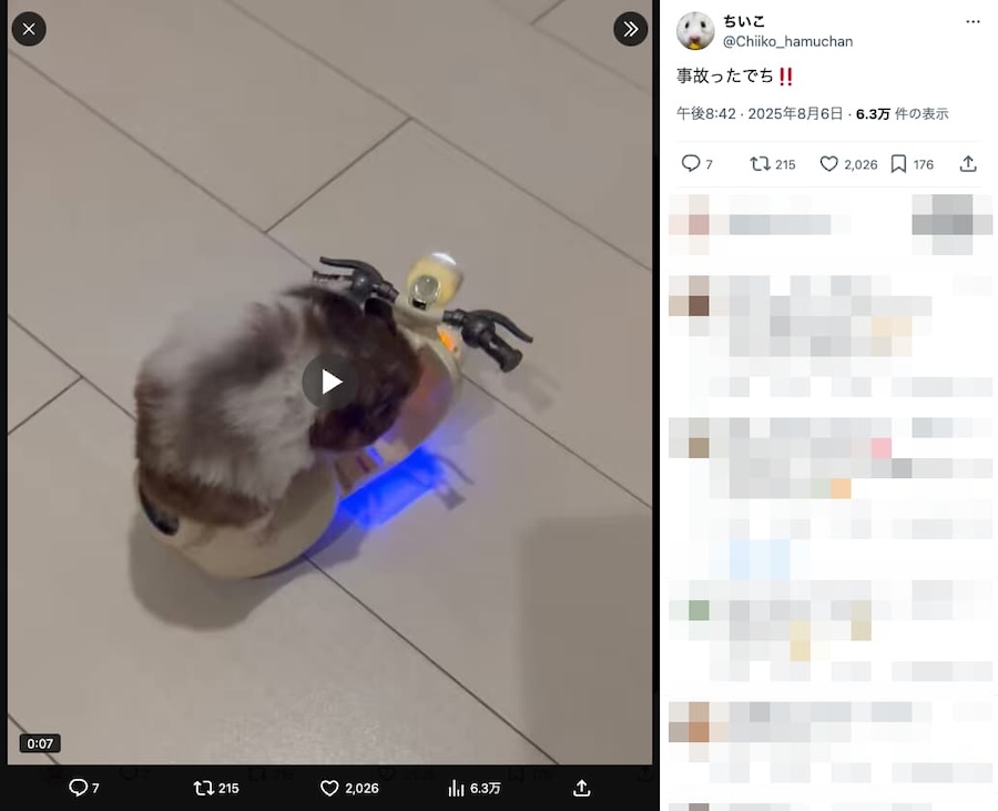 バイクを床で転がすうにちゃん