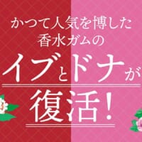 昭和・平成の人気ガム「イブ」「ドナ」復刻登場　“香りをかむ”ガム再び