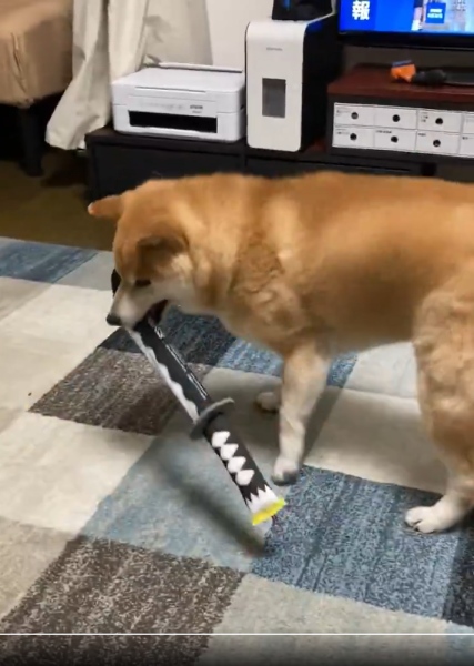 抜刀した後のじぇいたろうくん