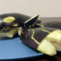 「推し愛」で生まれた海の化身　ナス製カイオーガ精霊馬が24万いいね