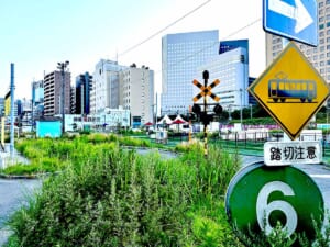 川崎に現れた“小さなアポカリプス”　元自動車学校の期間限定公園を歩いてきた