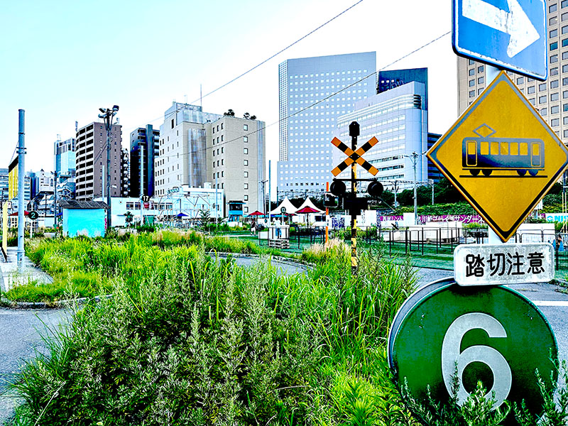 教習所の場内コースがそのまま残っている