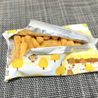 きのこのジクがぎっしり