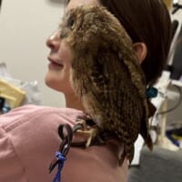 人間とフクロウの横顔が合体！奇跡のシンクロ写真に10万いいね