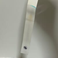ゾクっとする体験でした