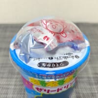 外蓋の中に別添えの袋