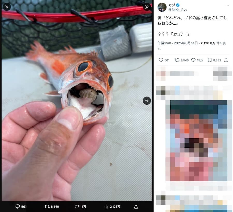 まさかいるとは思わず
