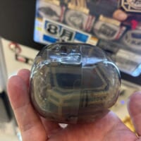 なんと1発ゲット