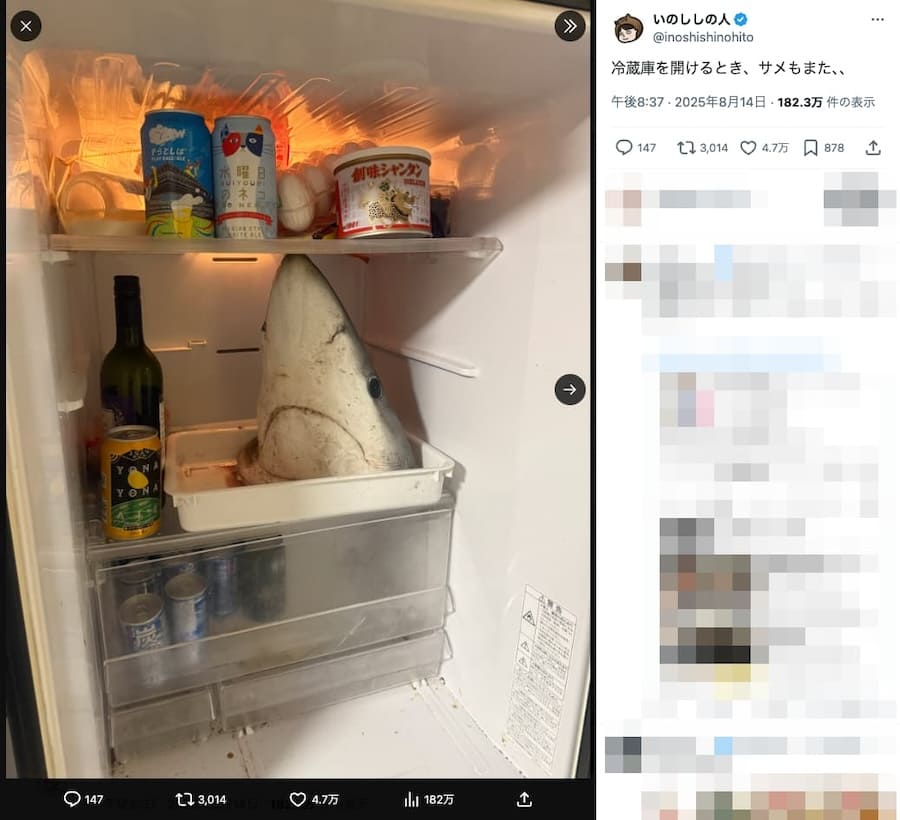 骨格標本になる予定のサメ