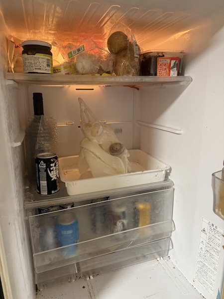 骨になったサメ