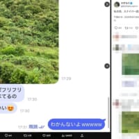 ただの茂みにしか見えないが……