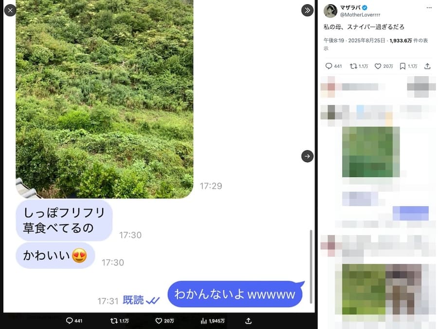 ただの茂みにしか見えないが……