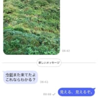中央に鹿