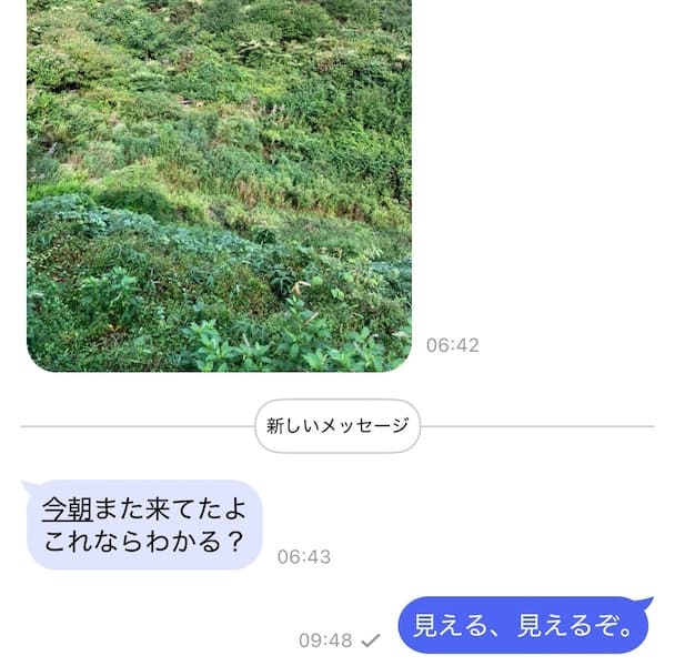 中央に鹿