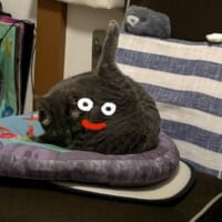 スライムかと思ったら猫だった　擬態の完成度が高すぎる
