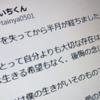 たいちくんX投稿より