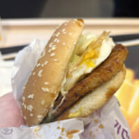改造てりたま完成