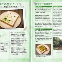 カビの生えたパン