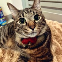 普段のぜんくん