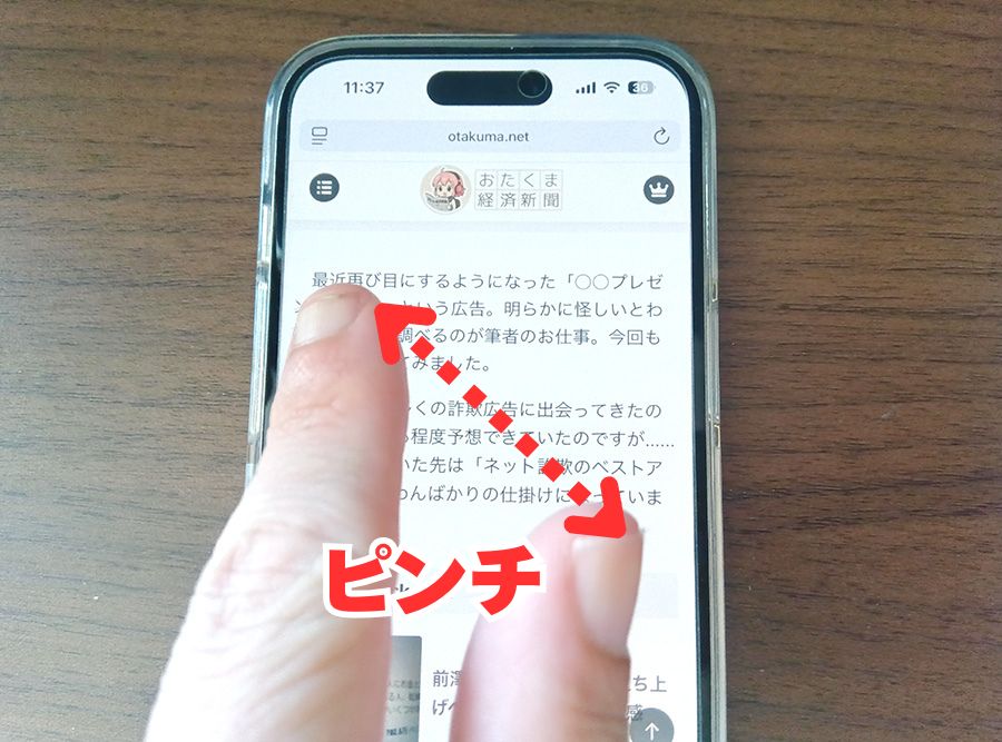 画面をピンチで拡大