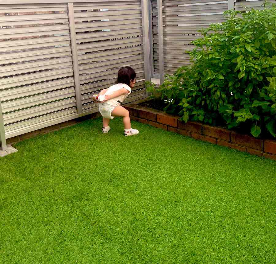 畑を見守る「ちっちゃいベテラン」　1歳児の後ろ姿が貫禄ありすぎ