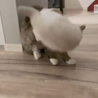 鮮やかな一本
