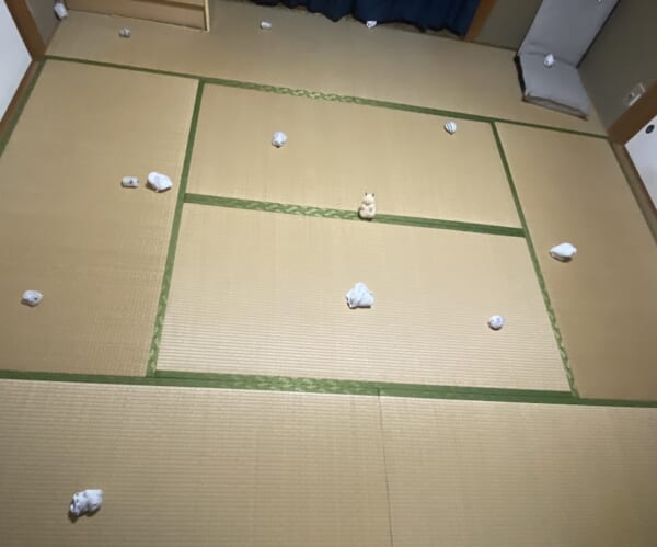 「本物のハムスターを探せ！」広々とした和室で開催されたクイズが高難易度すぎる