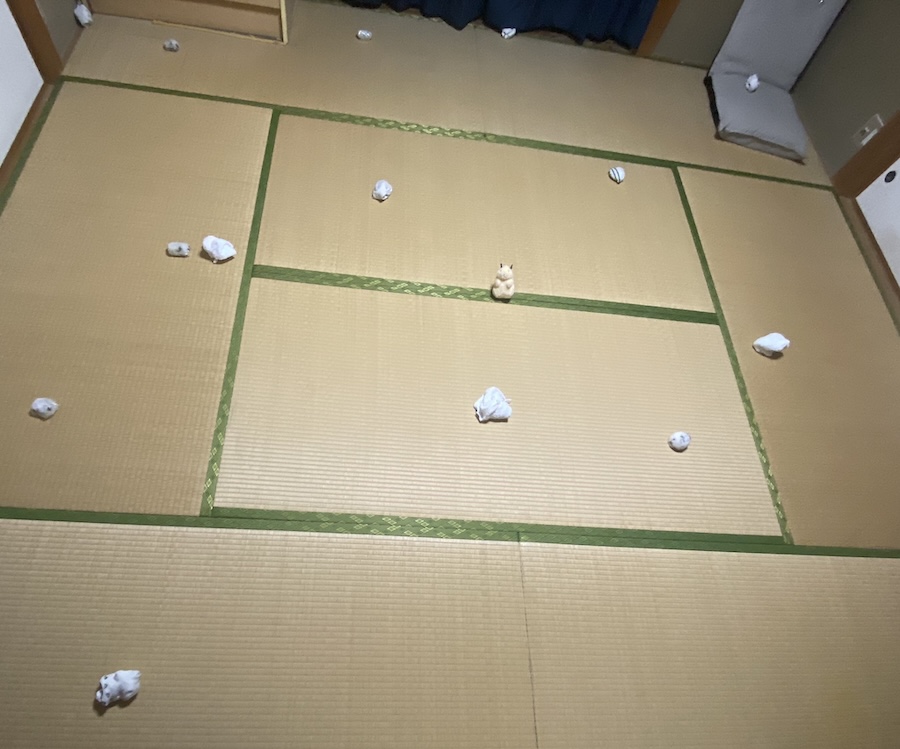 「本物のハムスターを探せ！」広々とした和室で開催されたクイズが高難易度すぎる