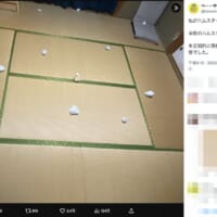 中央の物体はフェイク