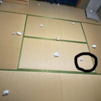 本物は右下