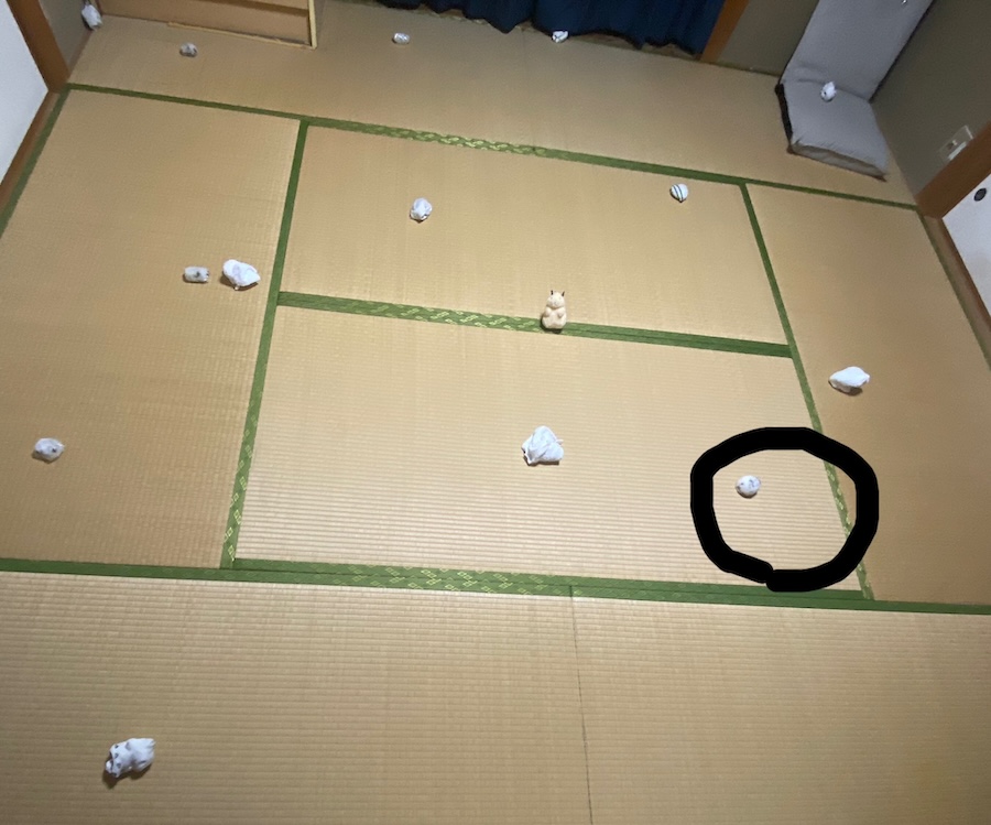 本物は右下