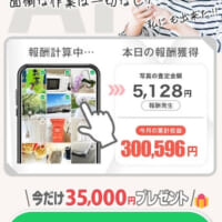 自動で収益化