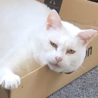 このあとワシャワシャ触られた