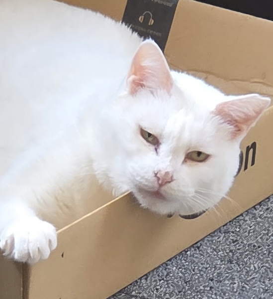 このあとワシャワシャ触られた