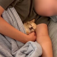パパの腕の中で寝るニコちゃん