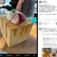 本物にしか見えない