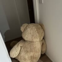 コストコのクマさん
