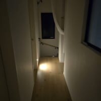 「怖いって」階段の奥から顔だけニョキッ！闇の中から見つめる猫ちゃん