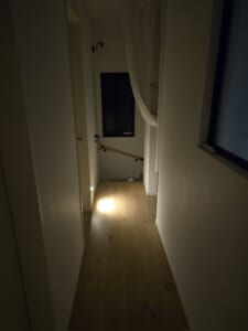 「怖いって」階段の奥から顔だけニョキッ！闇の中から見つめる猫ちゃん